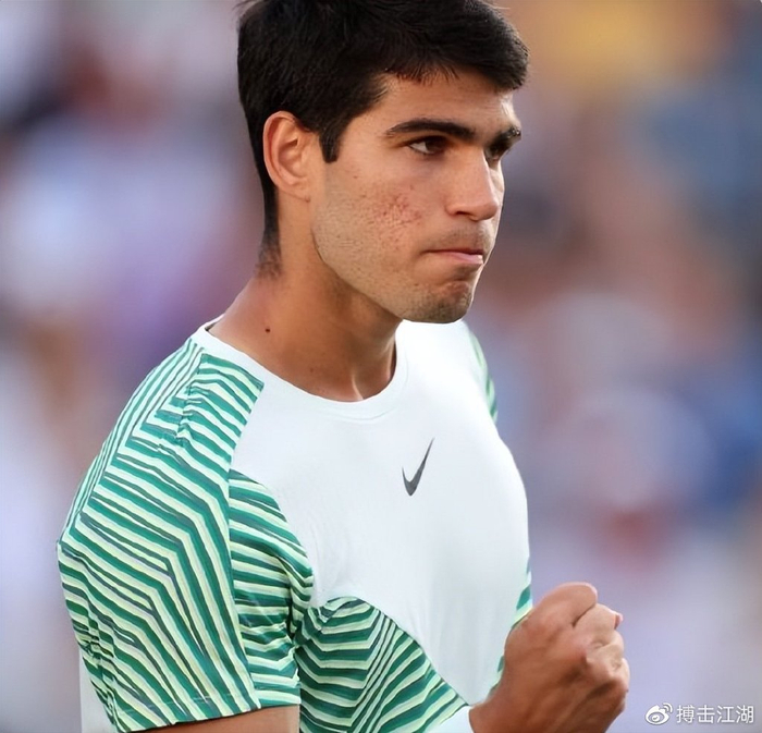 类似案例分 类似案例分