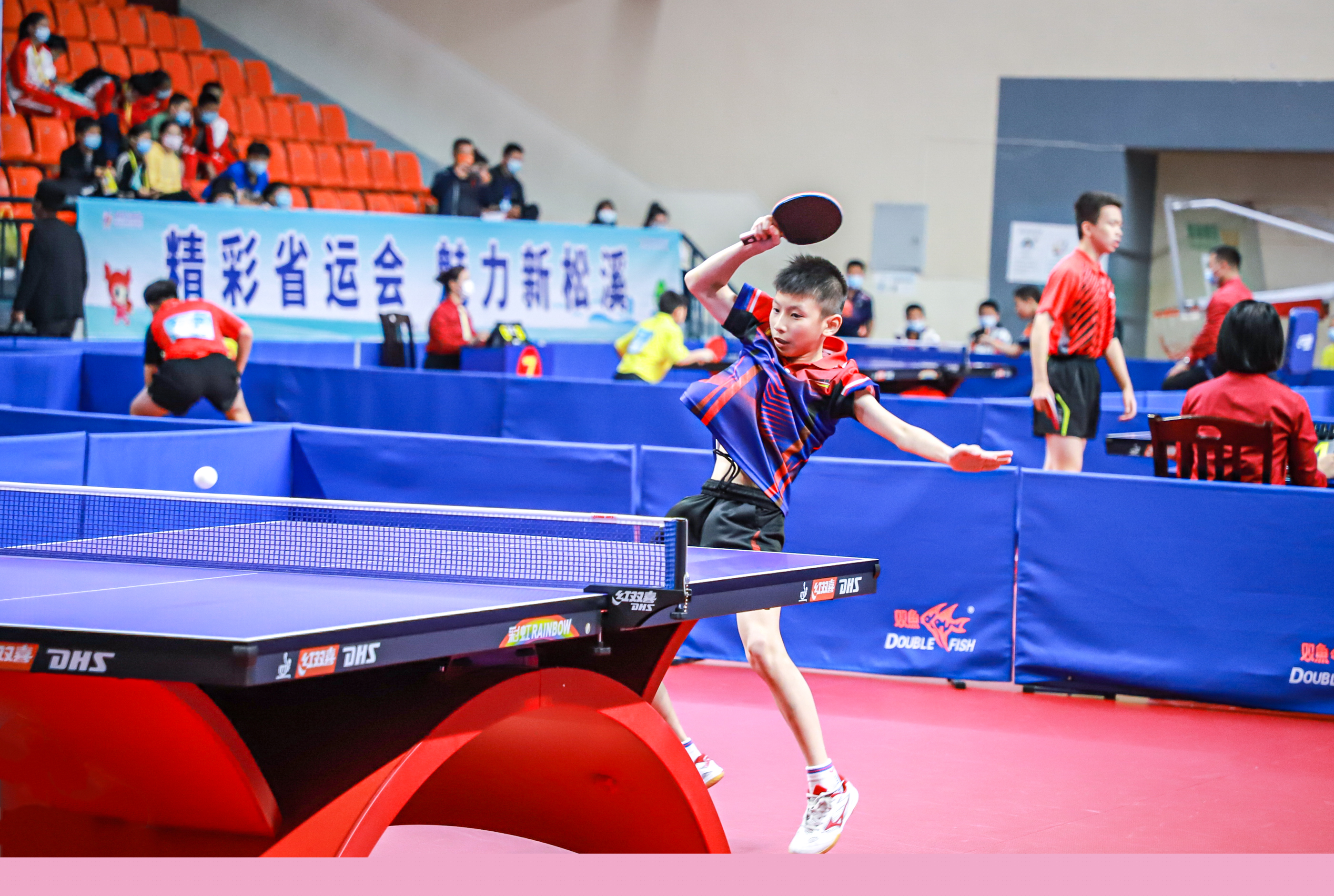 德约科维奇 德约科维奇