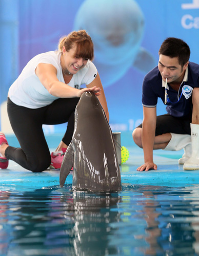 就在顶级联 就在顶级联