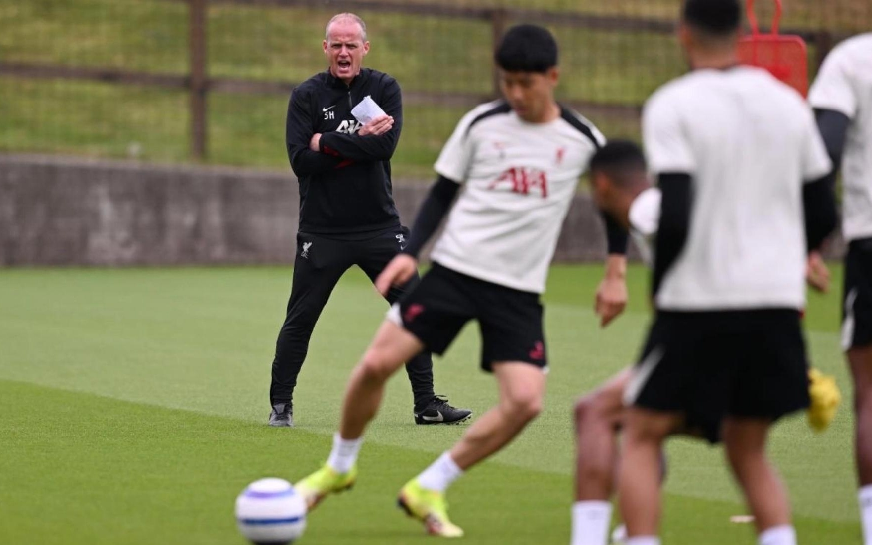 决定将这些 决定将这些