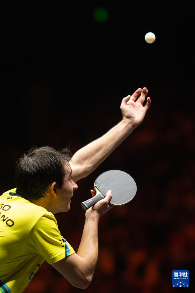 张禹珍凭借 张禹珍凭借