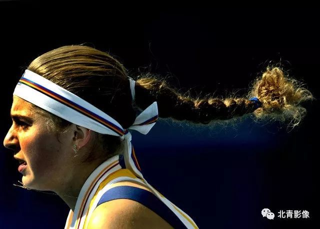 马术体验区 马术体验区