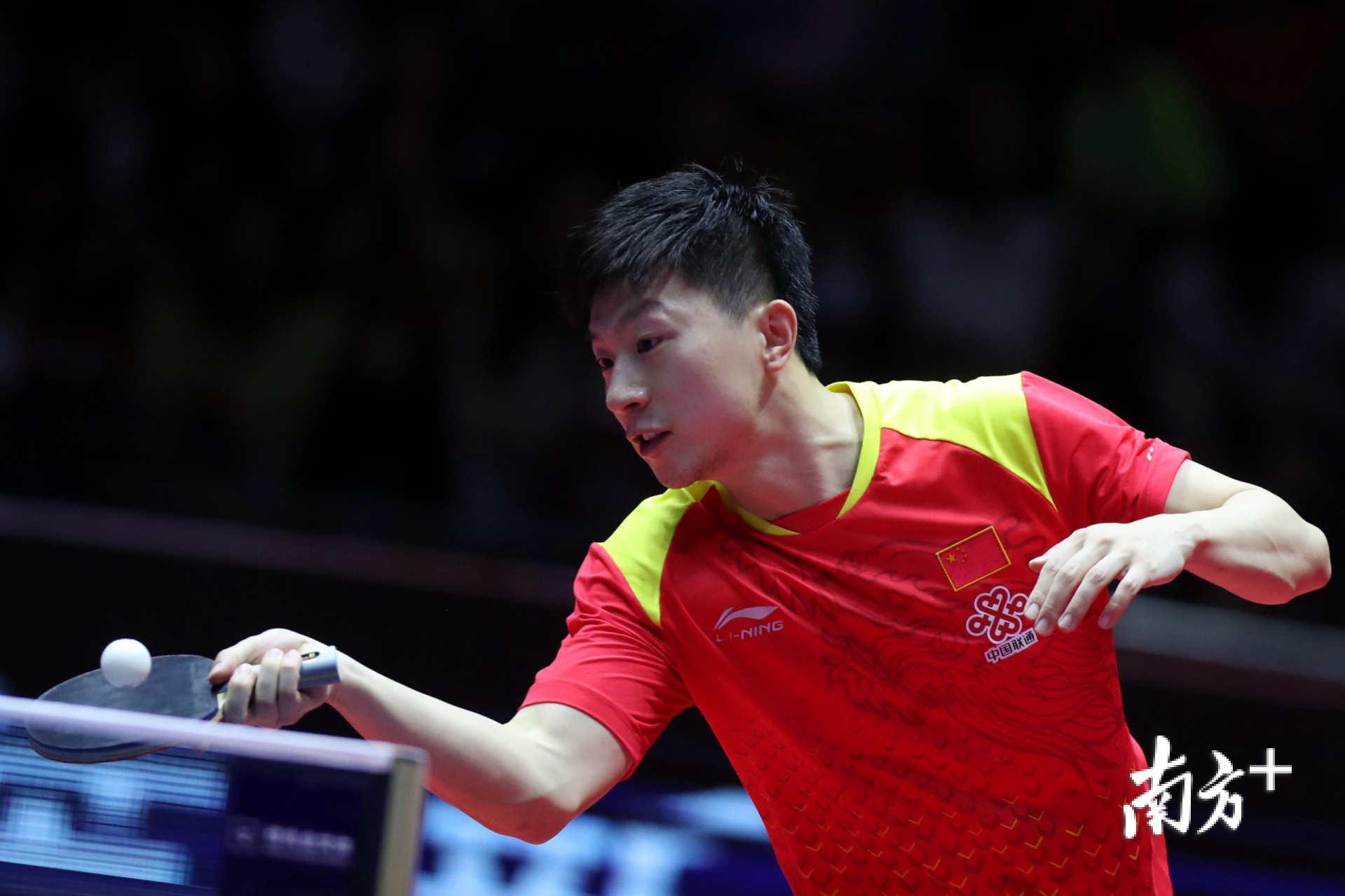 发成熟的领 发成熟的领